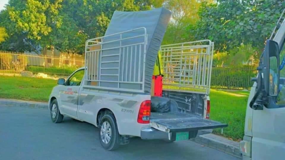 Movers Packers Service in palm Jumairah